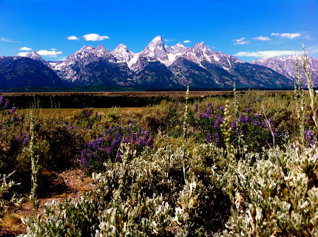 Grand Tetons 2011